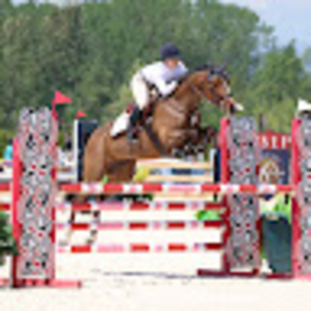 Meet your Posher, Sally